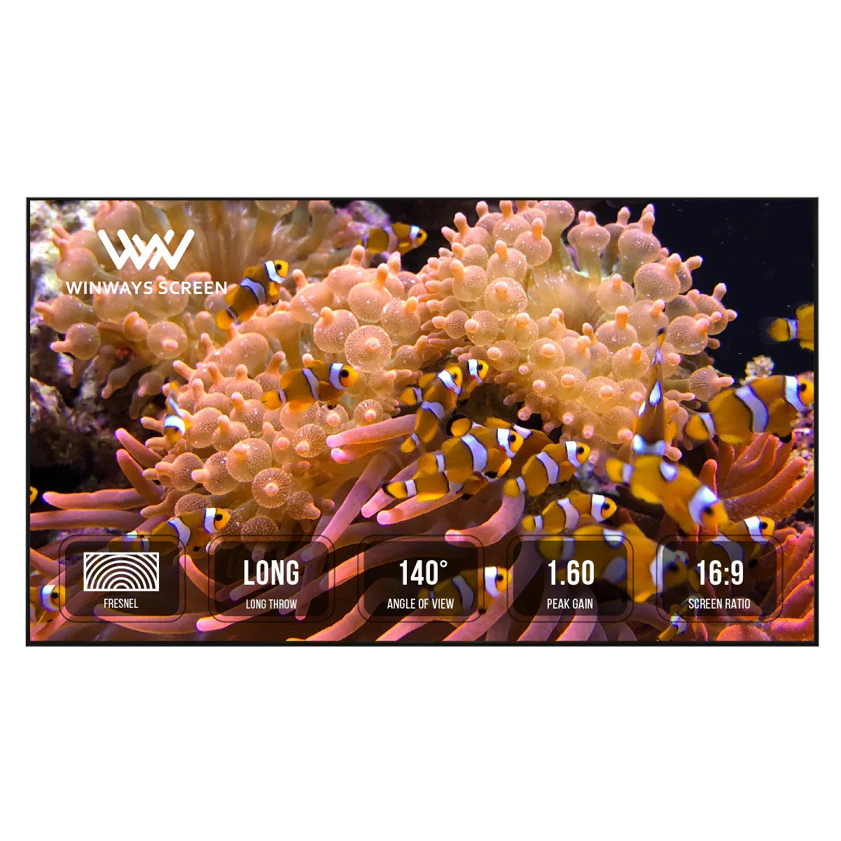 Winways Medium Throw ALR Fixed Frame Fresnel Screen